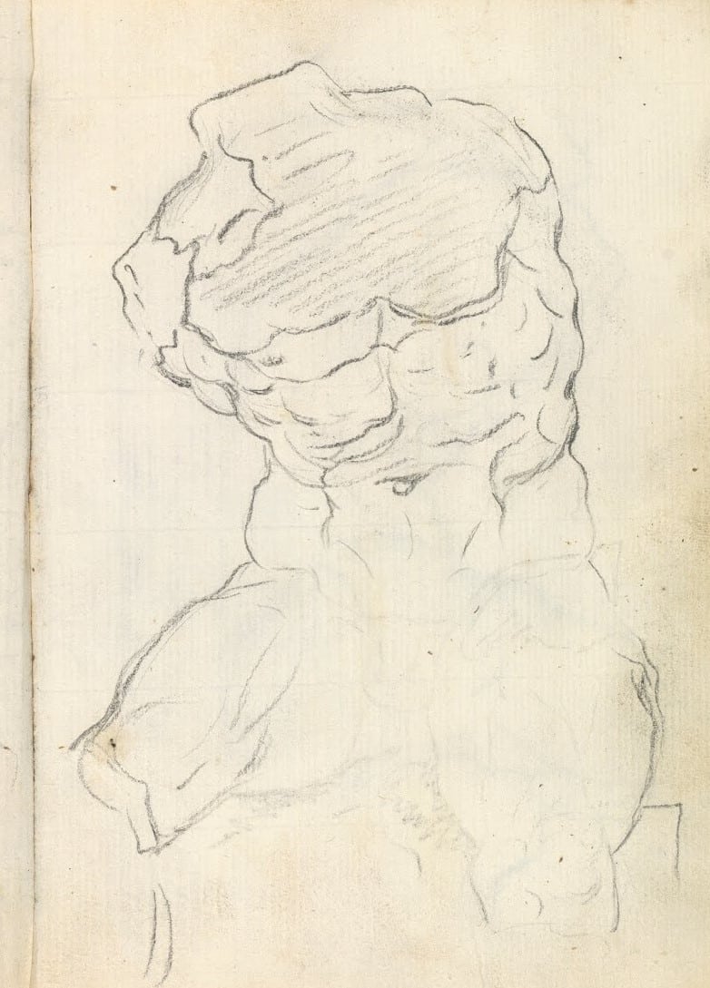 torso belvedere dibujo goya torso belvedere dibujo goya