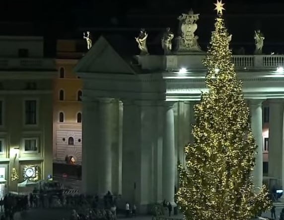 arbol navidad plaza san pedro