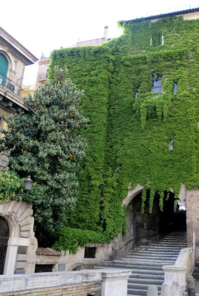 salita dei borgia vicolo scellerato
