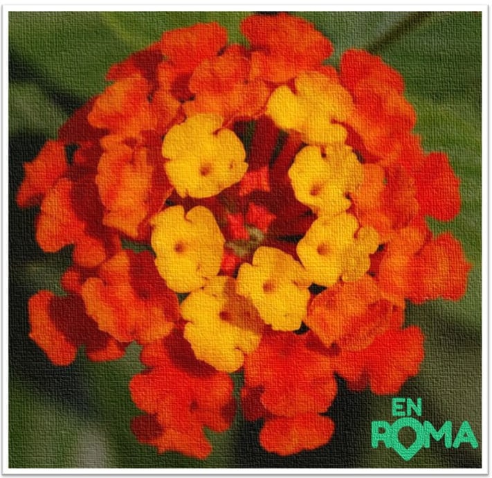 El poder en Roma, el poder de Roma