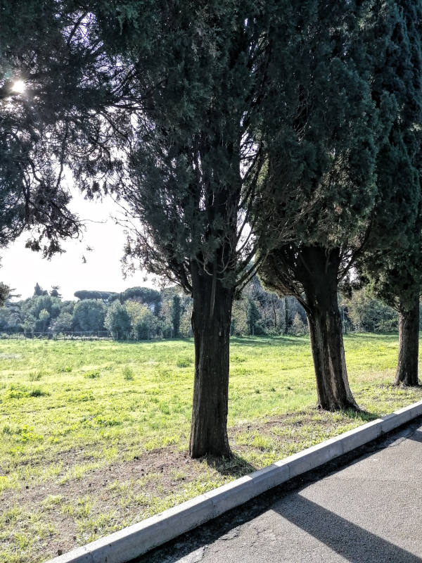 Lugares para correr en Roma