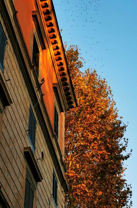 fachada atardecer roma