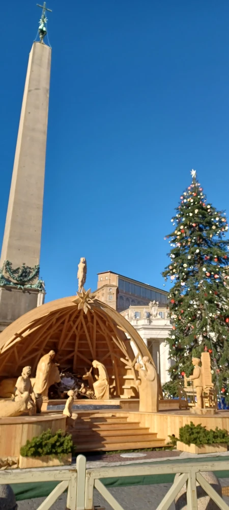 belen y arbol de navidad plaza san pedro