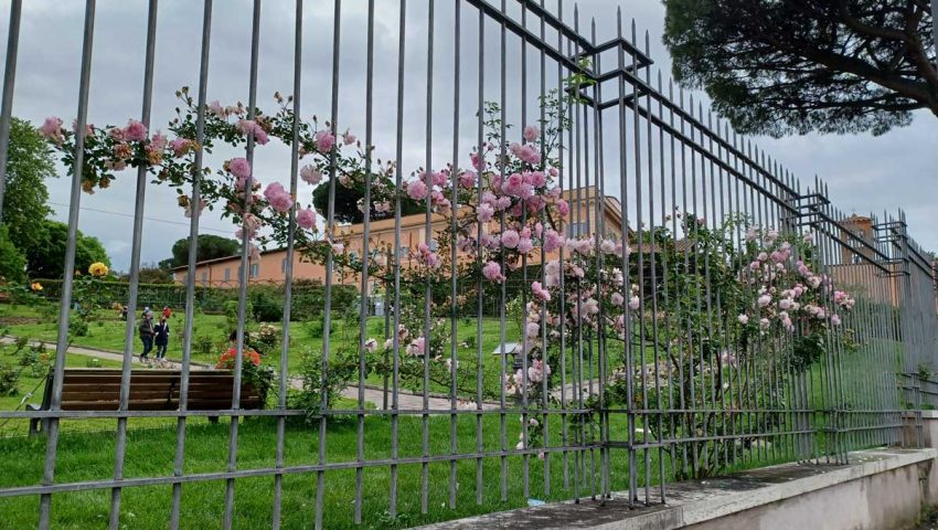 roseto comunale roma